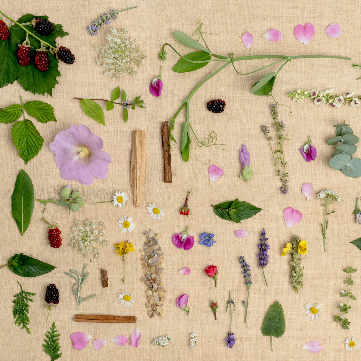 Aromatherapy Aromatherapy